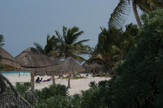 My Tulum Cabanas Kültér fotó